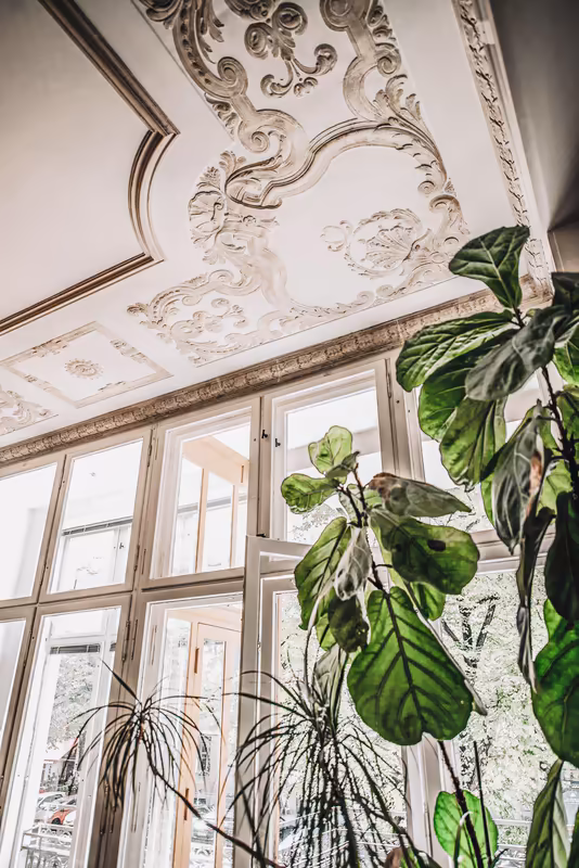 Elegantes Büro mit Stuckdecke, großen Fenstern und Grünpflanzen