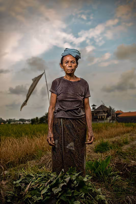 Frau auf Reisfeld stehend mit Kopftuch, Blick zur Kamera, traditionelle Landwirtschaft, dramatischer Himmel
